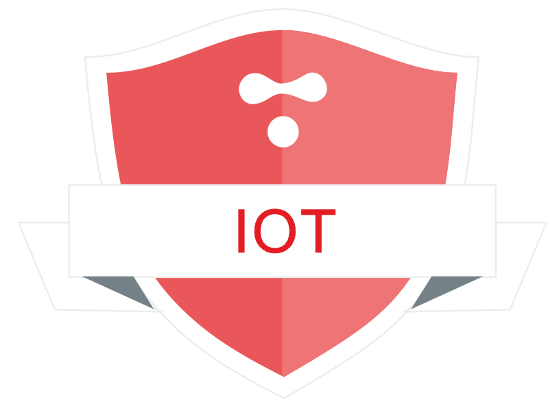 IoT Infotech Network